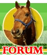 dyr forum