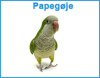 Fugle